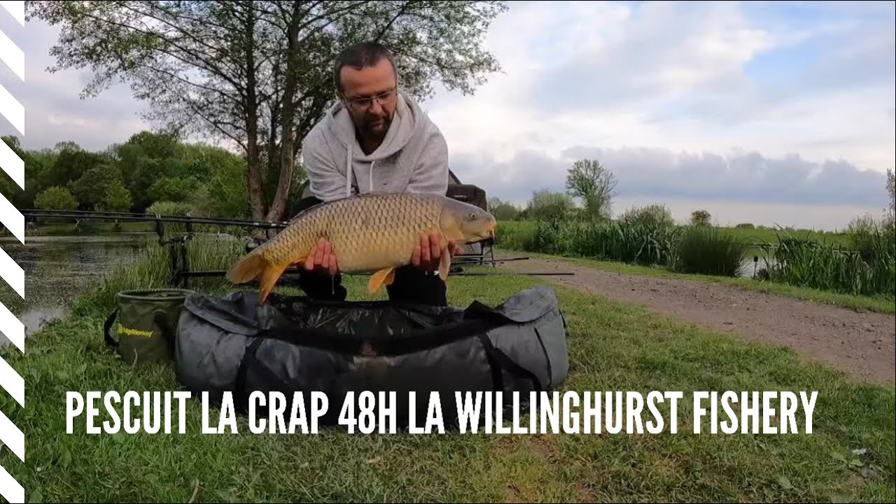 Pescuit la crap 48 h la Willinghurst Fishery