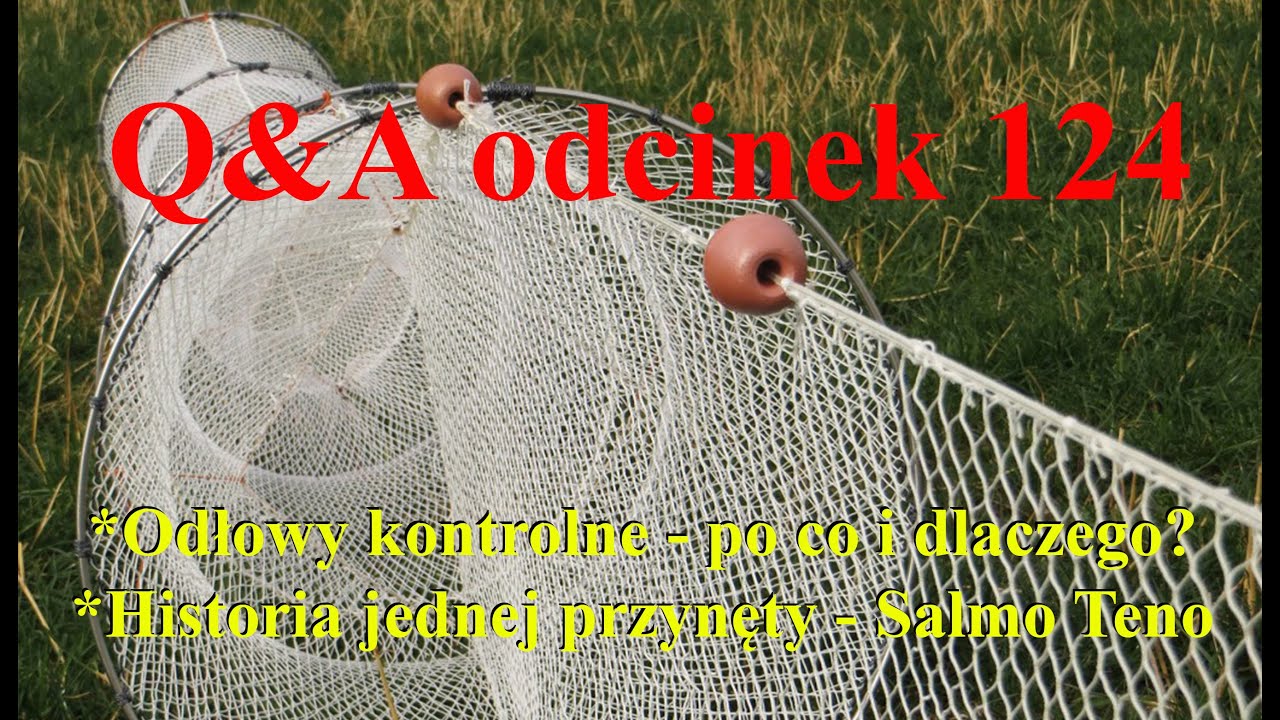 Вопросы и ответы, выпуск 124 &mdash; Контрольные уловы &mdash; серьёзное дело или необходимость? История Salm...