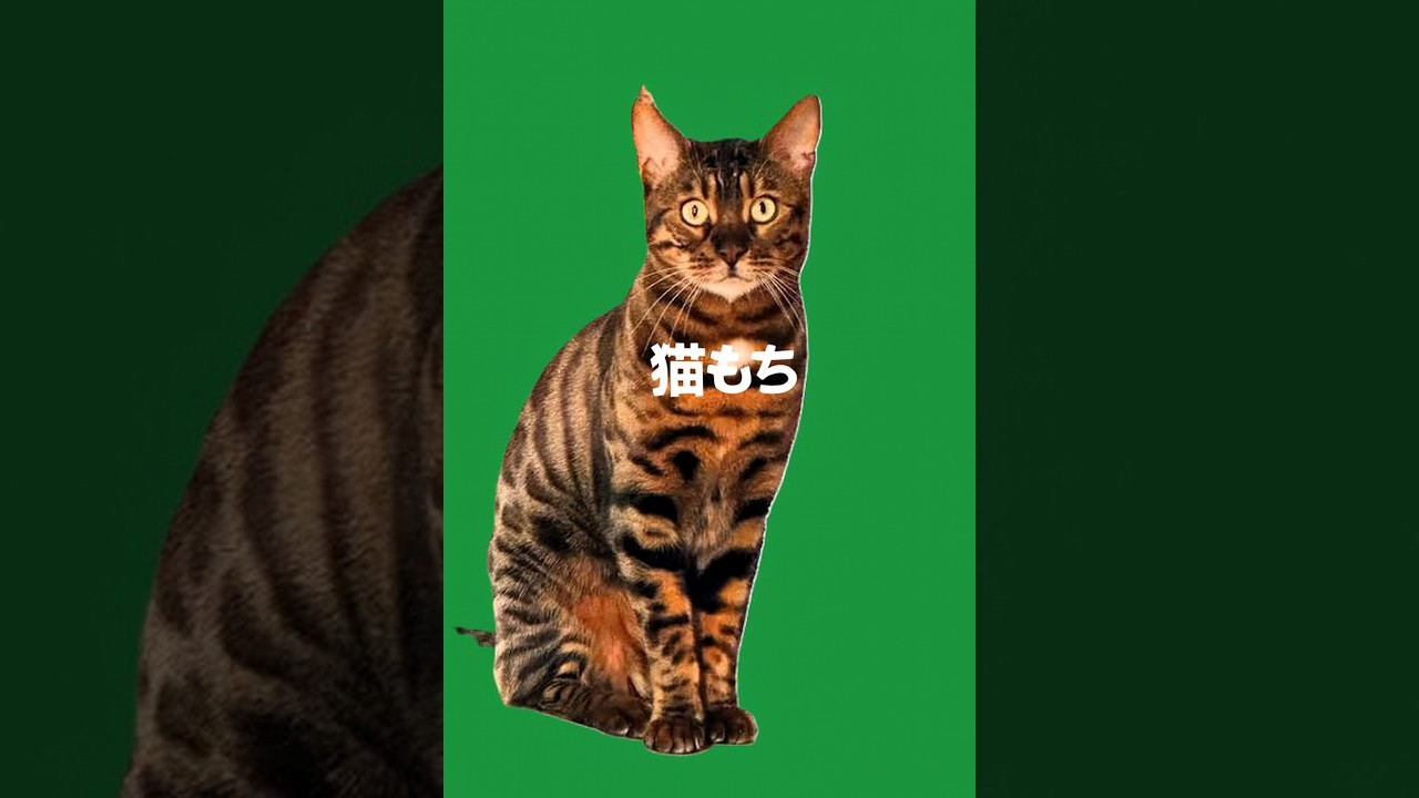 今日は良く出たぞ～