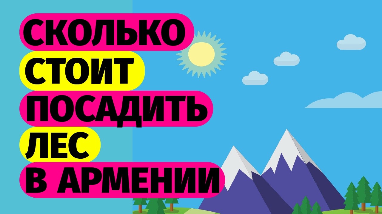 Более 2600000 посаженных деревьев. История MyForest Armenia
