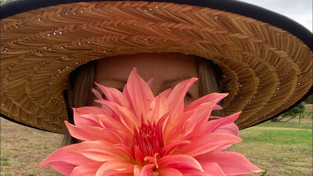 Mid Autumn Flower Farming Update | Wild Foraging for a Wedding!! 🍂🍁🍂🍁🍂