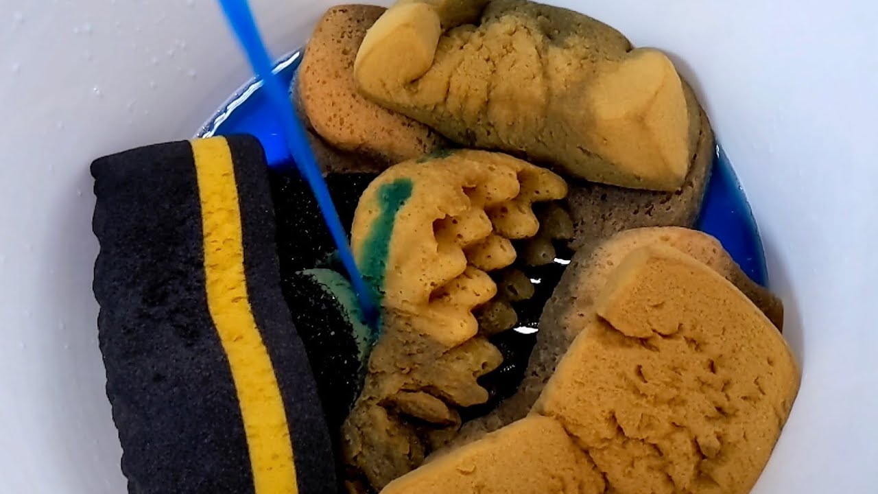 【ASMR】Breached old sponge Ripping and squeezing w/ Blue water and Recycle cleaner
