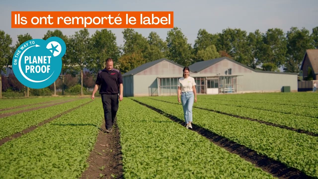 Aux racines de HelloFresh | Rencontre avec notre producteur d'épinards 🍃