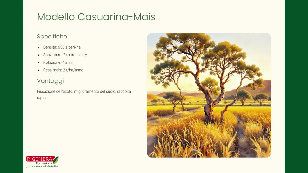 Modelli di Agroforestazione: Strategie e Benefici per l'Agricoltura Sostenibile