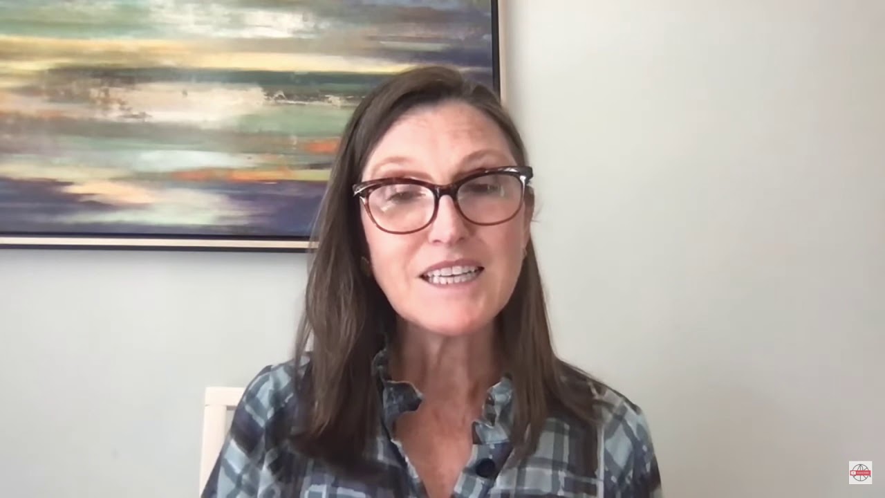 Cathie Wood: Volatility, Skepticism, Retail vs  Institutional Investors
