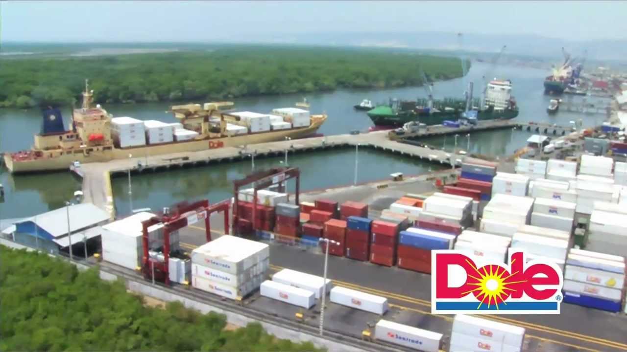Dole Video Corporativo