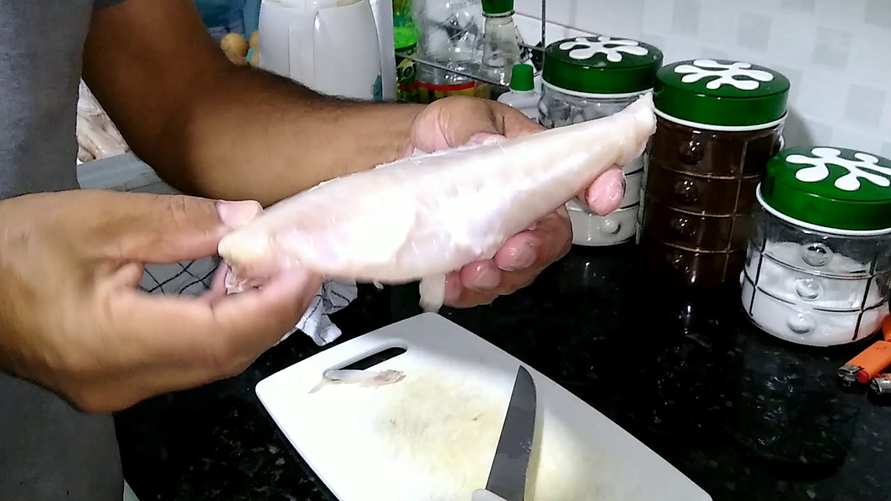 BAIACU Arara como limpar, preparar, fritar.