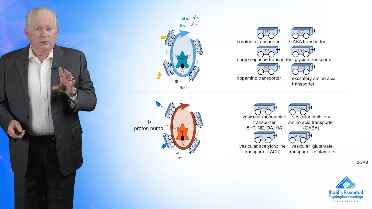 How Neurotransmitters Are Transported: Psychotropic Transporters