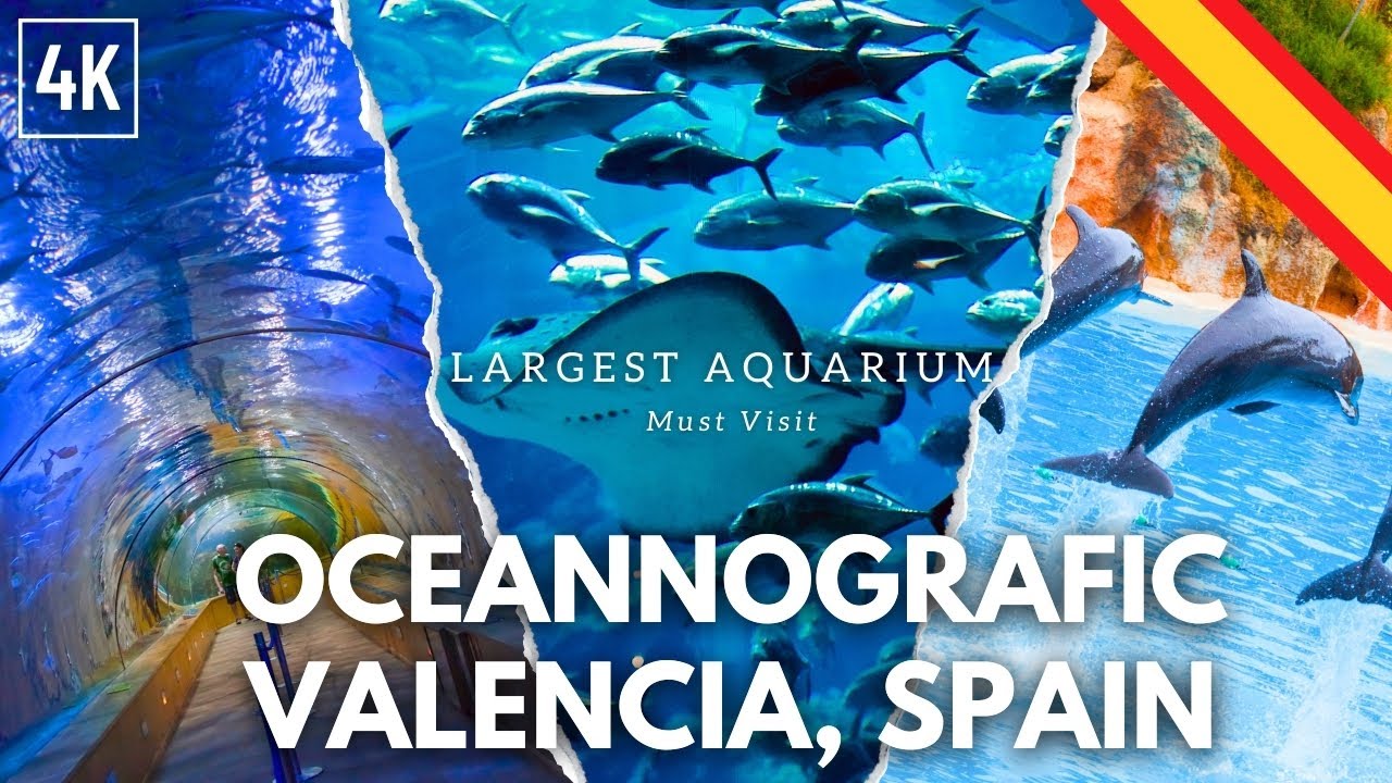 Largest Aquarium in the world - Oceanografic Valencia, Spain
