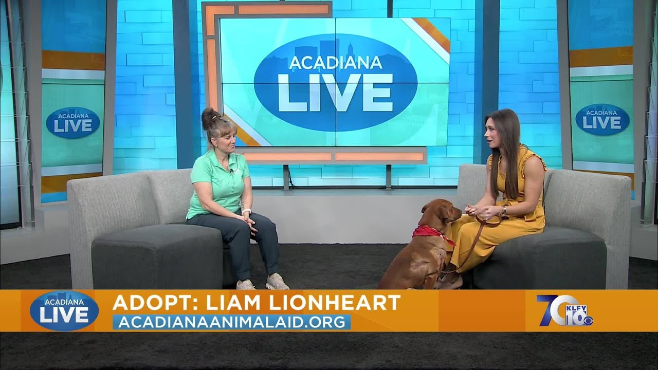 Pet of the Week: Adopt Liam Lionheart from Acadiana Animal Aid