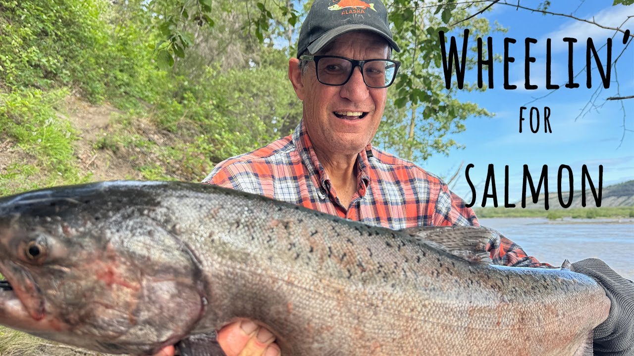 Early Fish Wheeling for Copper River Red Salmon