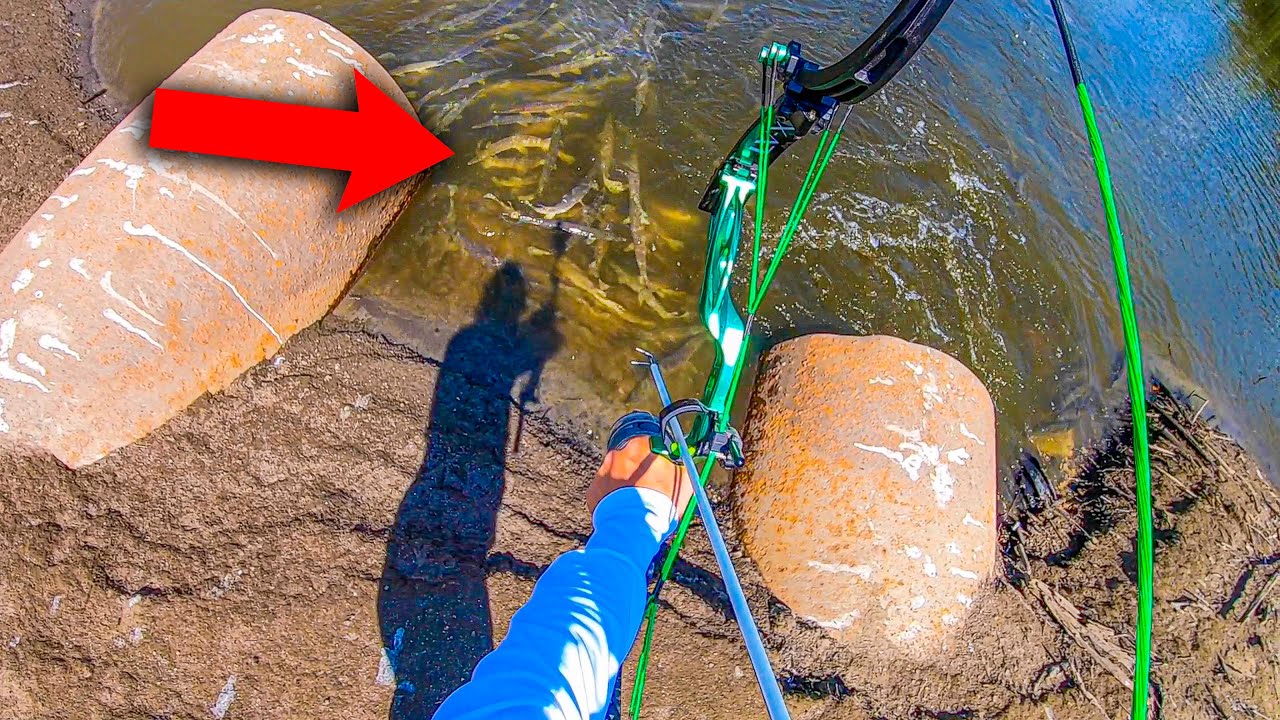 We found the MOTHERLOAD of Fish!! - (Bowfishing)