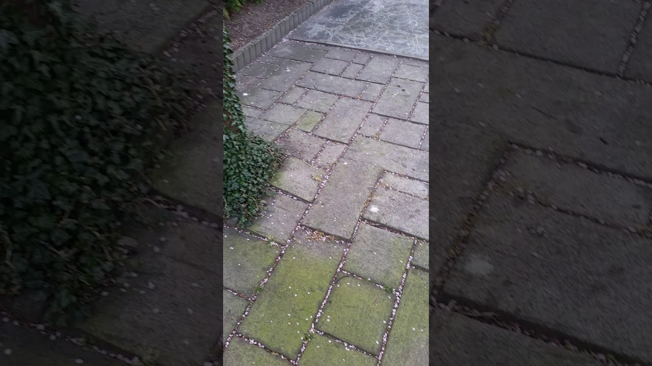 Effect na 2 dagen groene aanslag op terrastegels Dasty vs Schoonmaakazijn