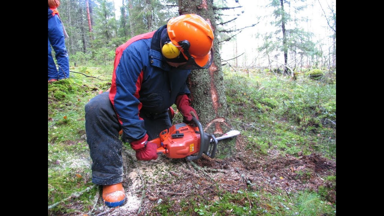 Metsolan Metsäkoulu 45, Hankintatyön kannattavuuspohdintoja.