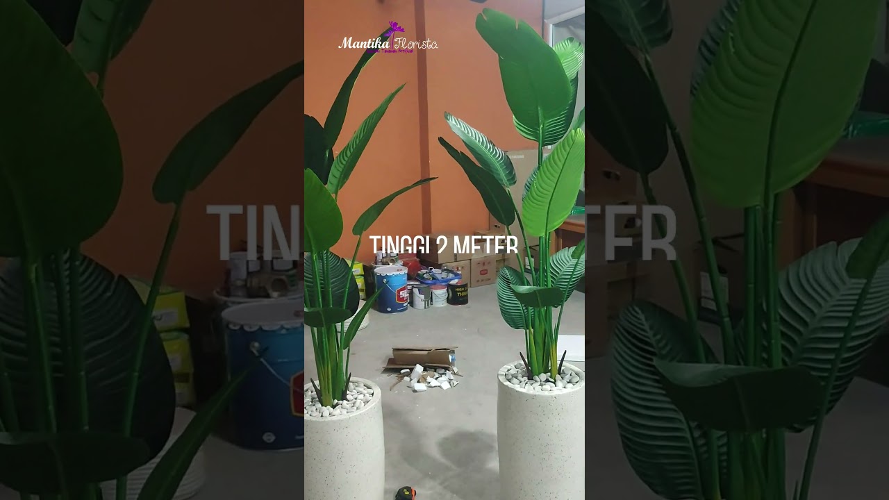 Pohon Pisang Artificial Mantika Florista  #shortvideo #pohonplastik #pohonartifisial #shortsvideo