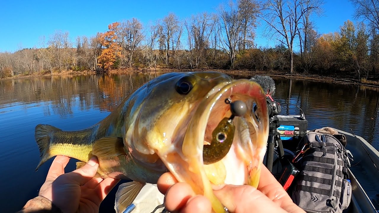How To Catch LOTS of Cold Water Bass EASY (Megabass Hazedong Shad 4.2)
