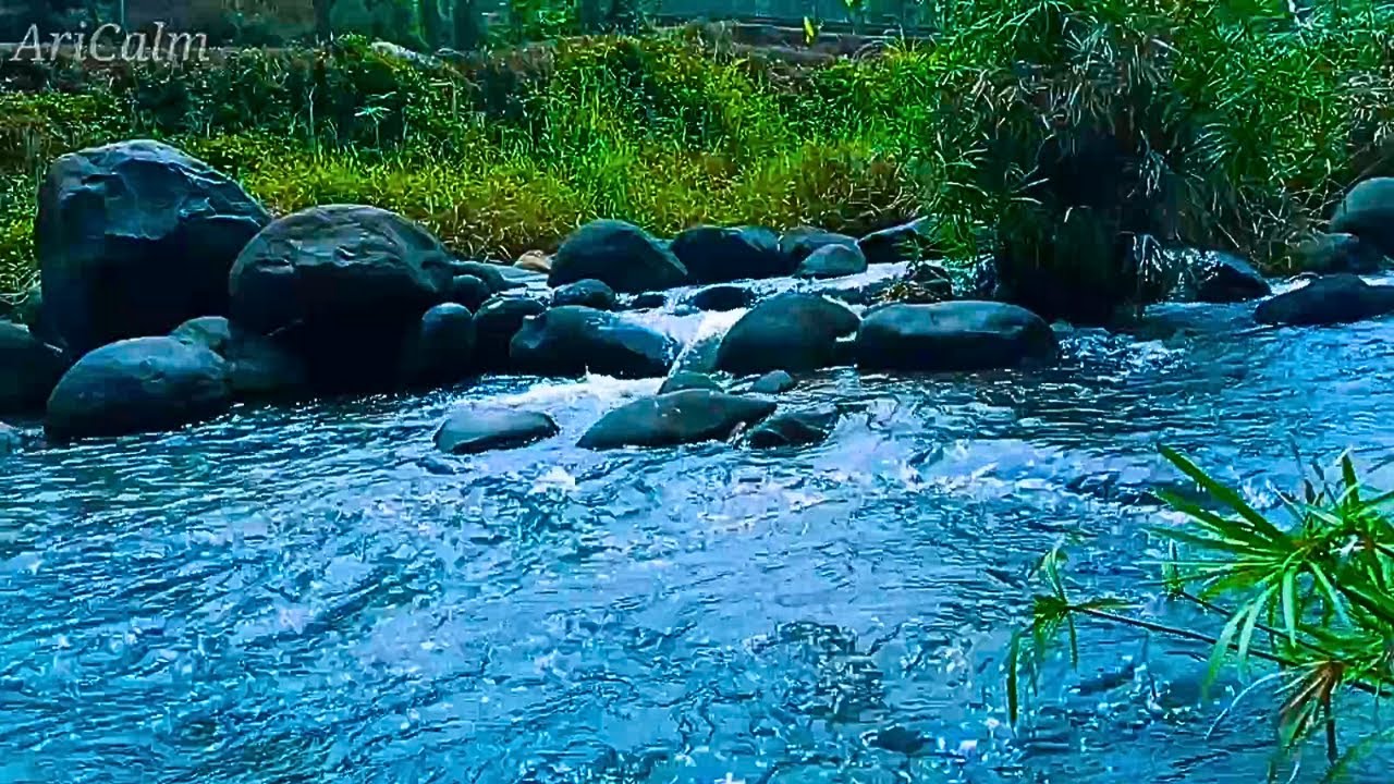 Peaceful River Sounds for Deep Sleep, Stress Relief & Natural Mind Relaxation #54
