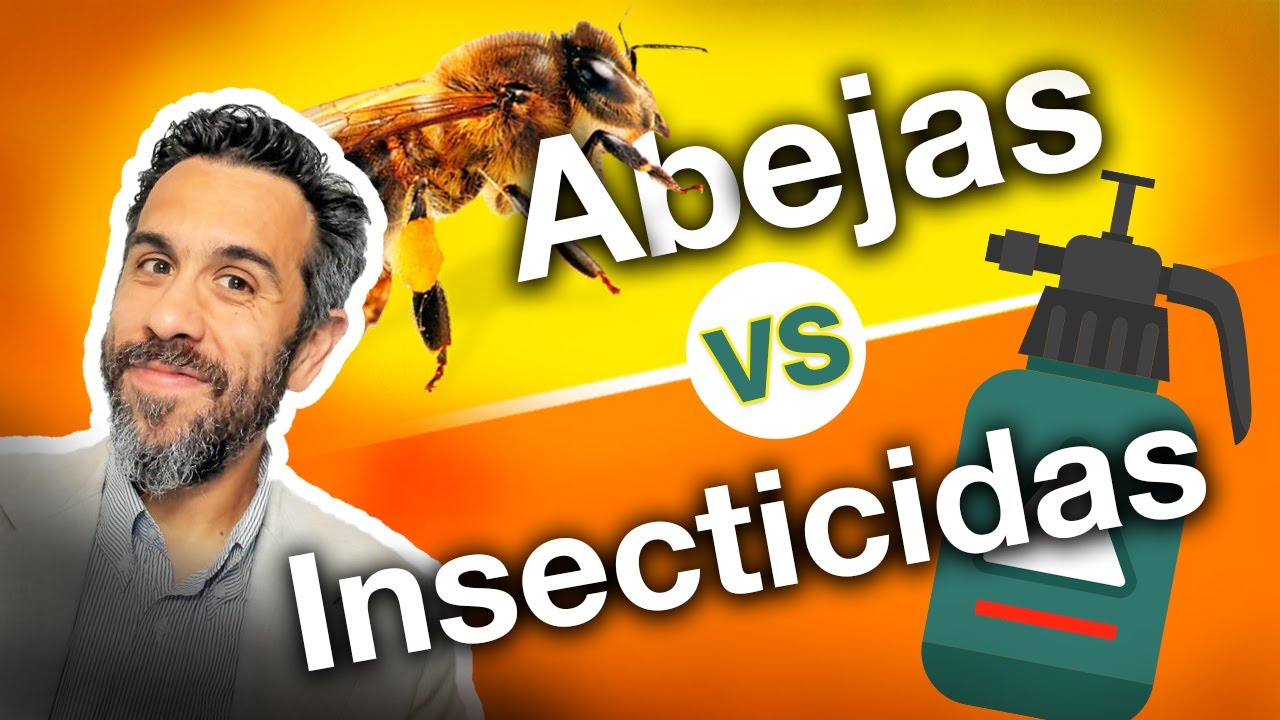 EL MAL USO DE INSECTICIDAS SOBRE LOS POLINIZADORES: ¿Están las abejas en peligro de extinción?