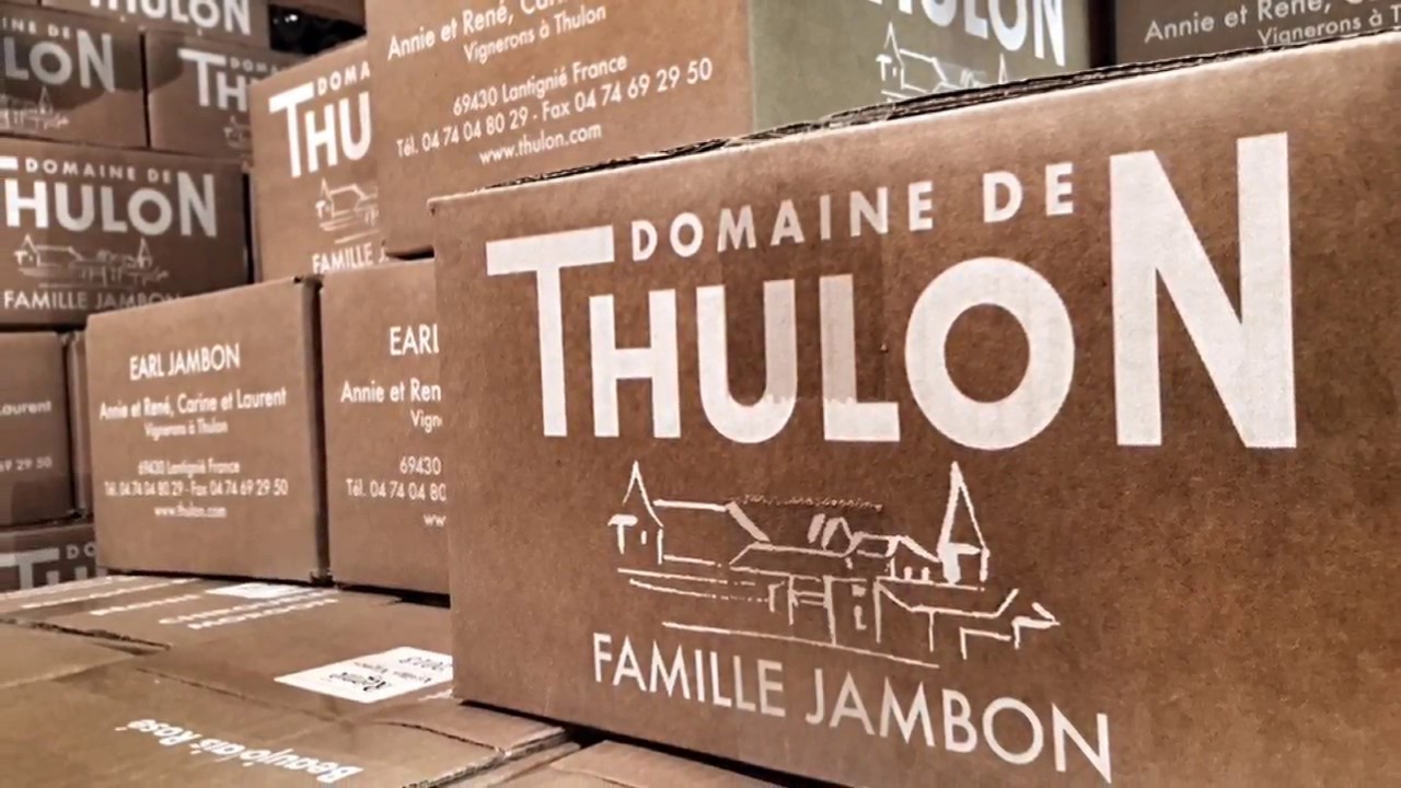 Fun Winery Visit at Domaine de Thulon in Beaujolais