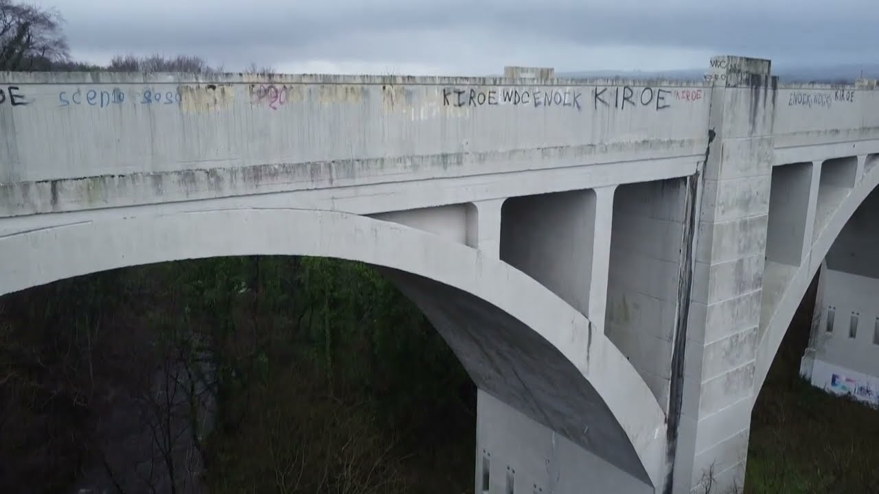 Newtonabbey Way Viaducts: Engineering Marvel or Eyesore?