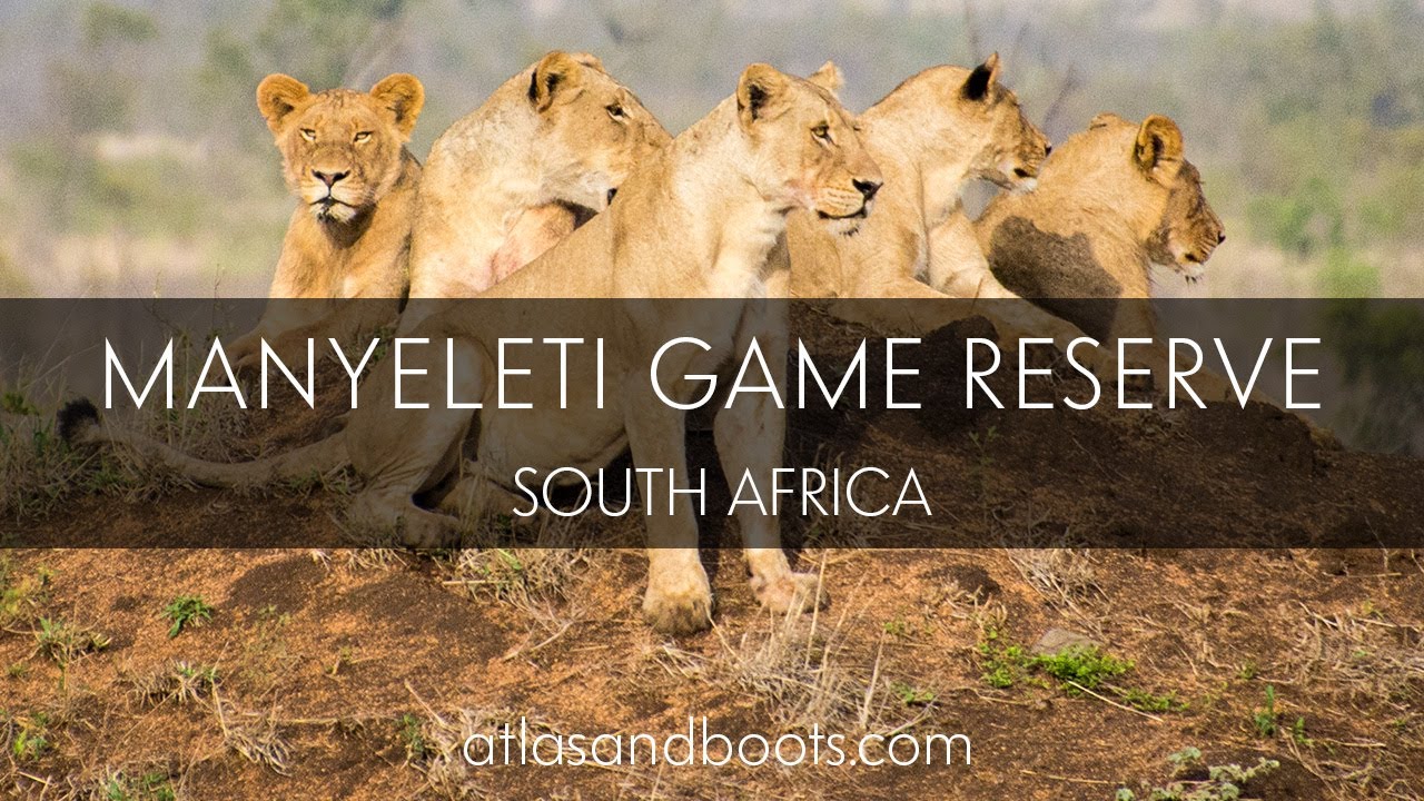 Manyeleti Game Reserve, South Africa