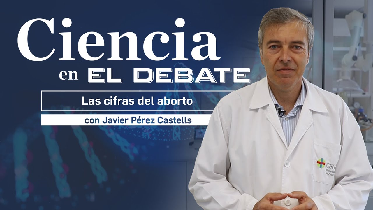 El contundente mensaje de Castells sobre las cifras del aborto en España