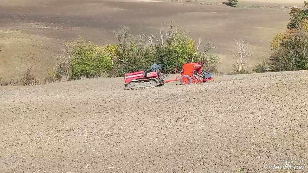 SEMINA GRANO DURO