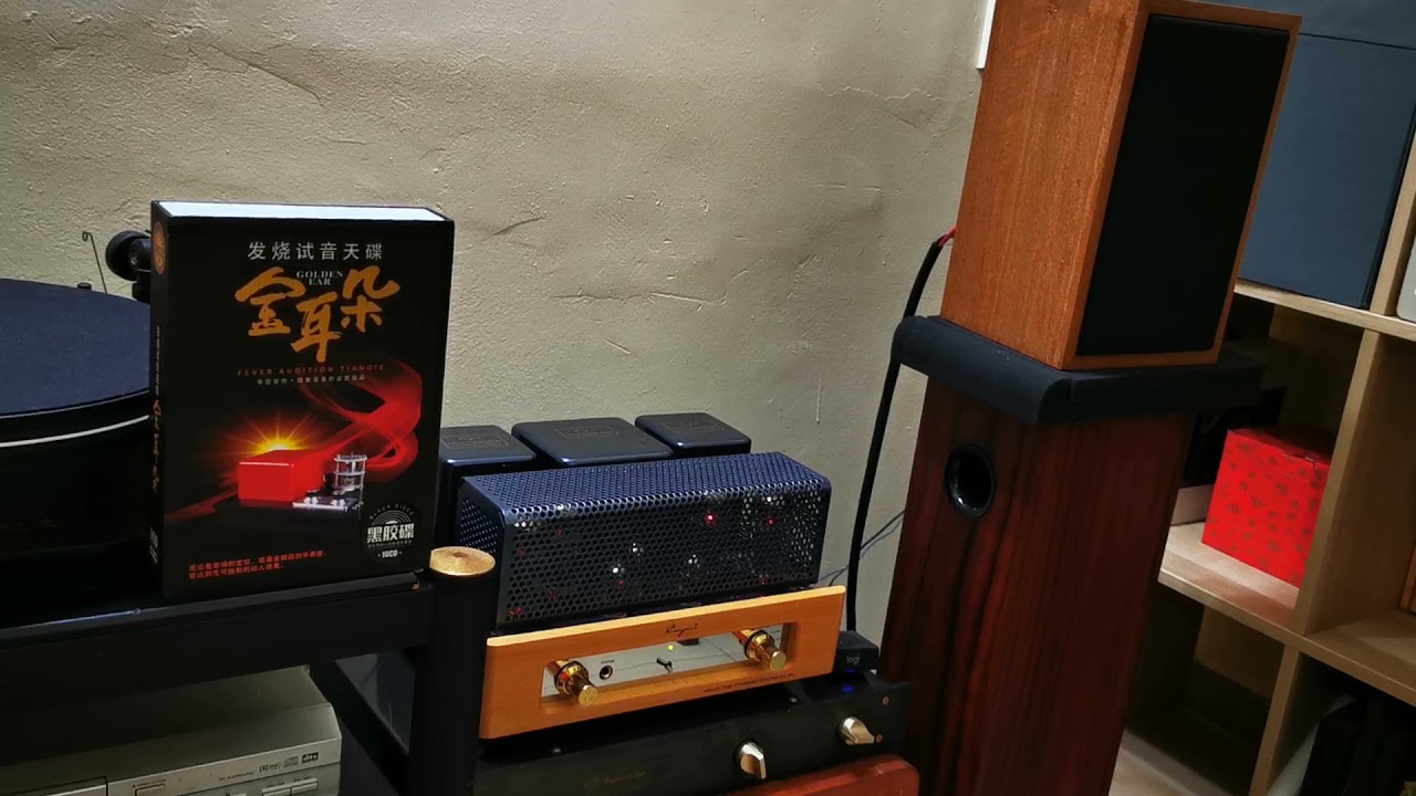 Cayin mt-35 mk2 #月光小夜曲#试音 #Rogers#ab1#ls35a#35仔#cayin