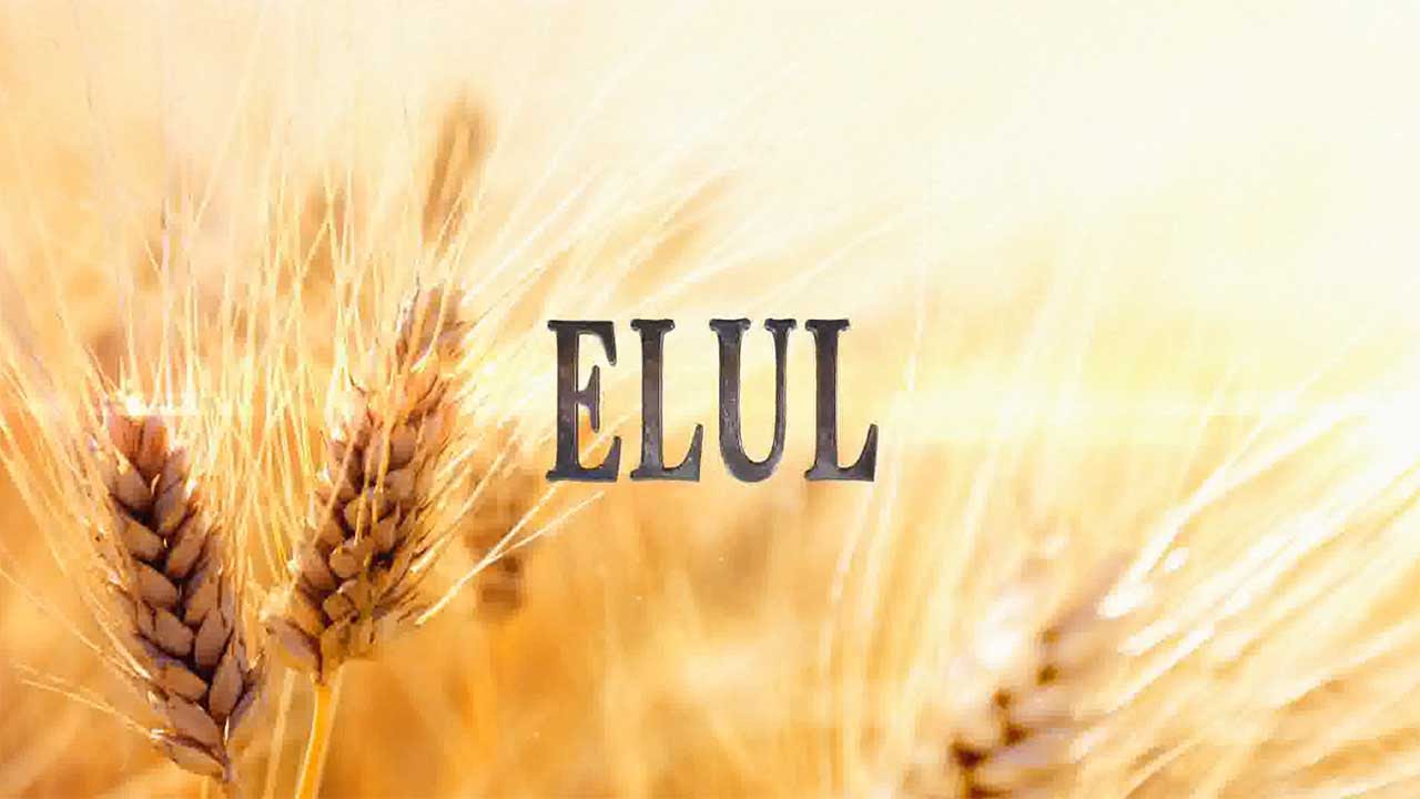 Elul and the 40 Days of Teshuvah: The King is in The Field #elul #teshuvah