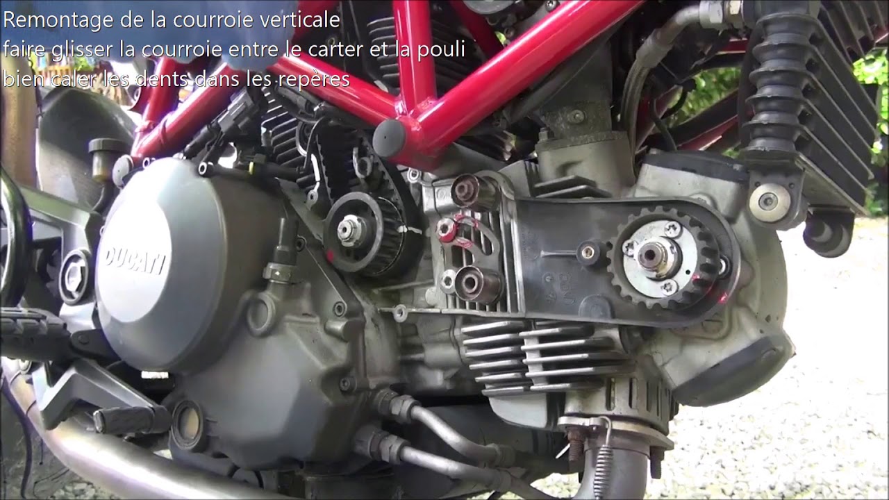 changement courroies ducati
