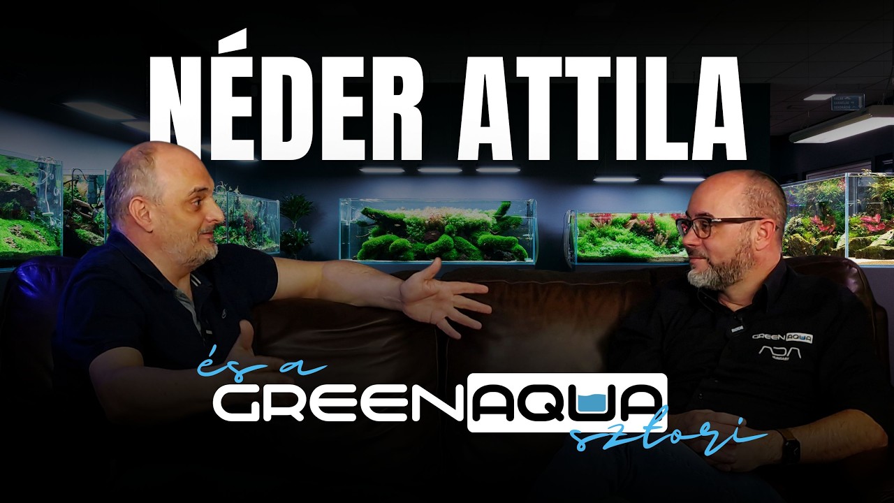 A Green Aqua sztori - Néder Attilával