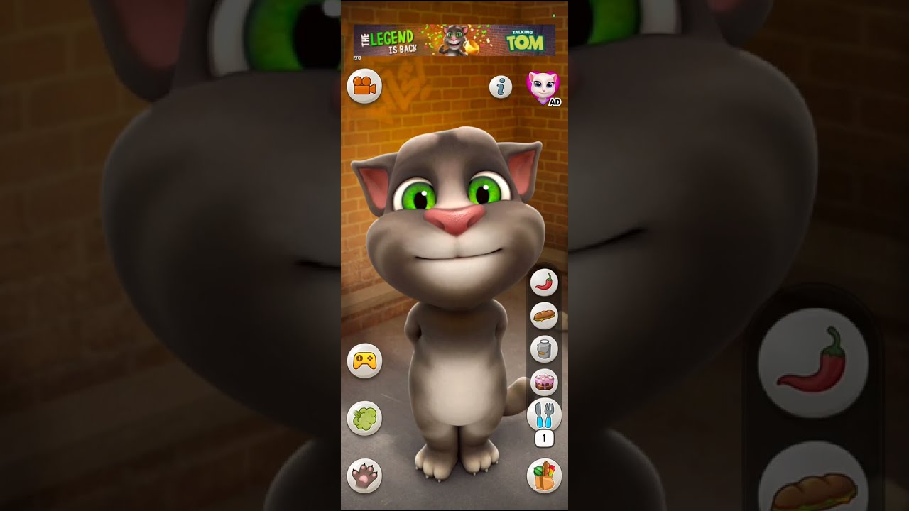 Meow meow Billi Karti | Billi wala cartoon