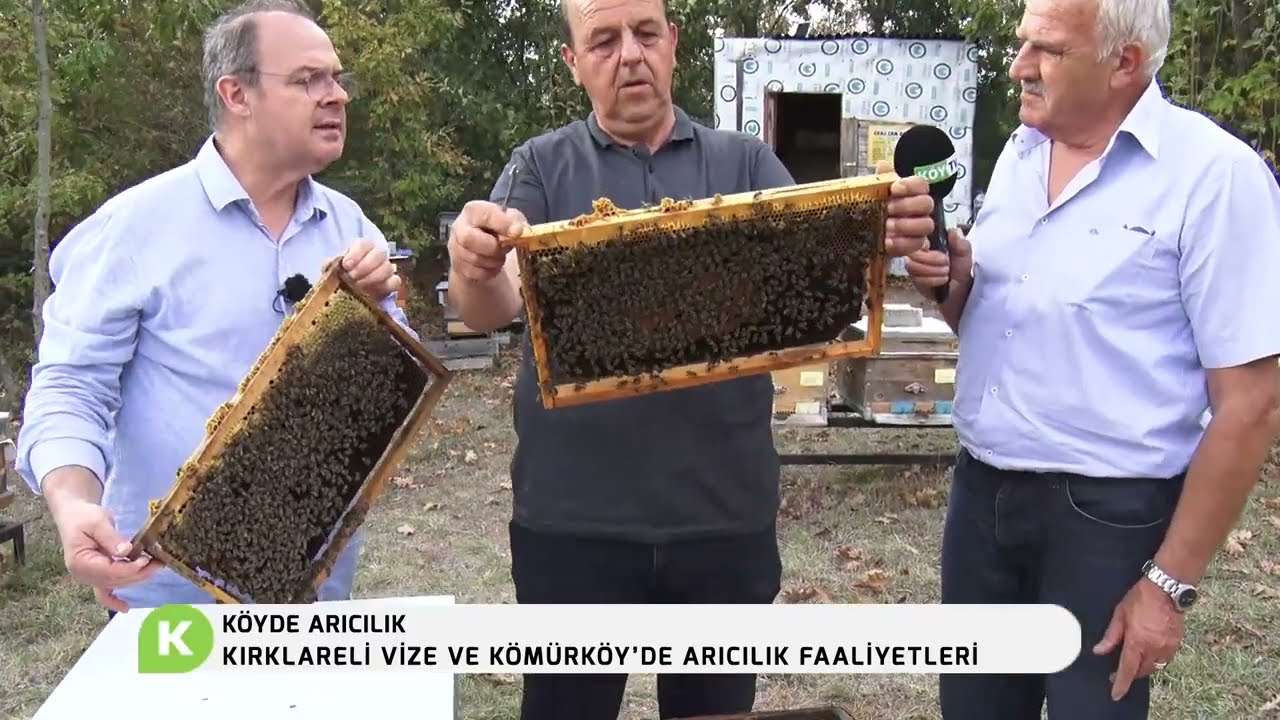 KIRKLARELİ VİZE / KÖMÜRKÖY'DE ARICILIK FAALİYETLERİ!