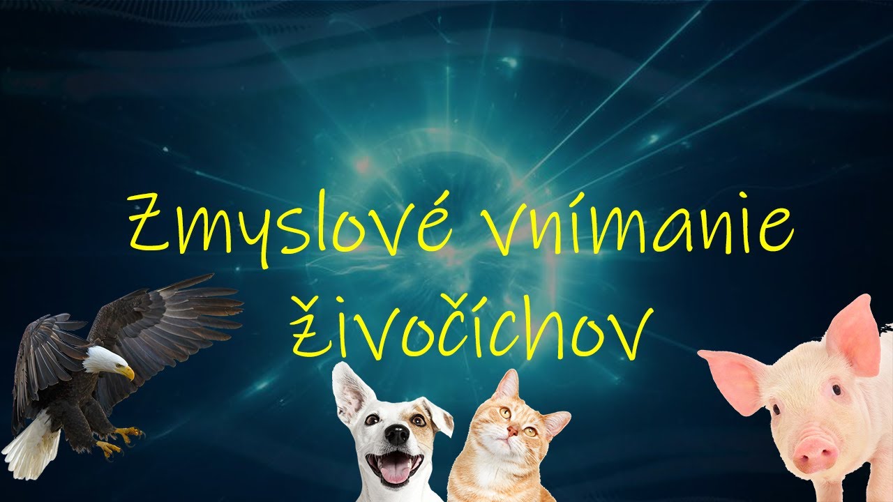 Biológia 8. ročník _ Zmyslové vnímanie živočíchov