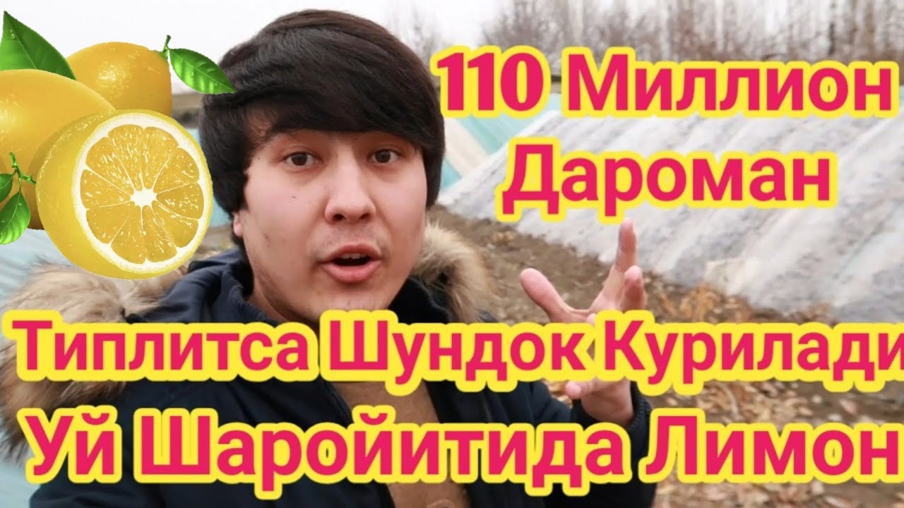 УЙ ШАРОИТИДА ТЕПЛИЦА КУРИШ ВА ЛИМОН БИЗНЕСИ