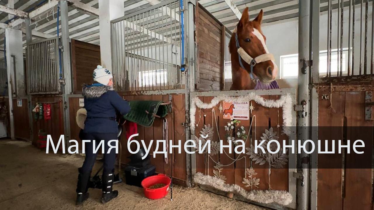 Жизнь конюшни: ASMR-погружение в мир лошадей 🐴✨ | Уход, бытовые ритуалы, магия будней