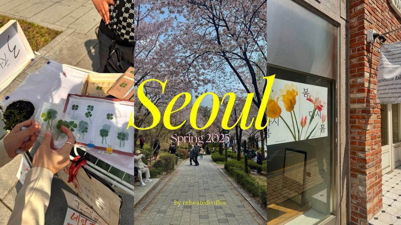 spring days in seoul 🌸 | cherry blossoms, han river picnic, gyeongbokgung, gwangjang market (part 1)