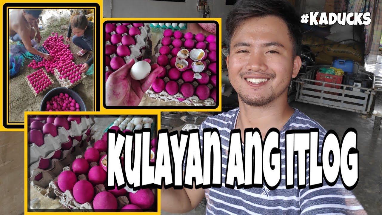 EP27 - HOW TO COLOR SALTED EGG | KULAYAN ANG ITLOG NA PULA duck layer farming