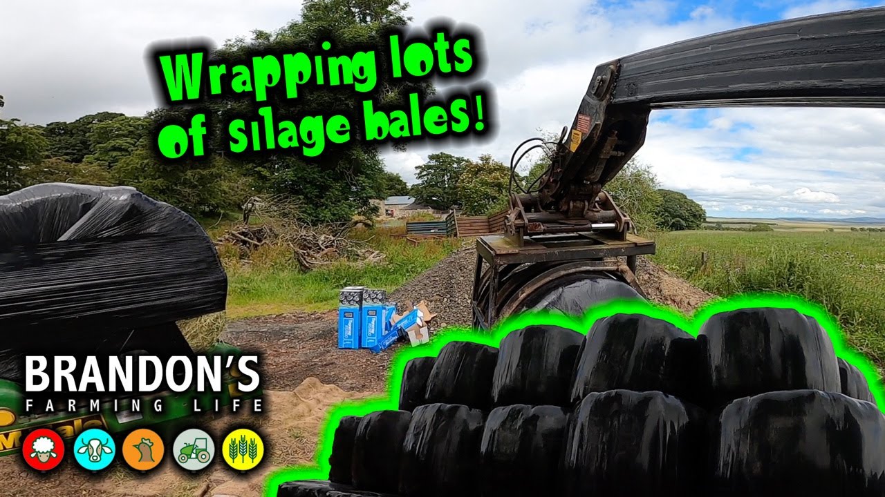 Baling silage and wrapping
