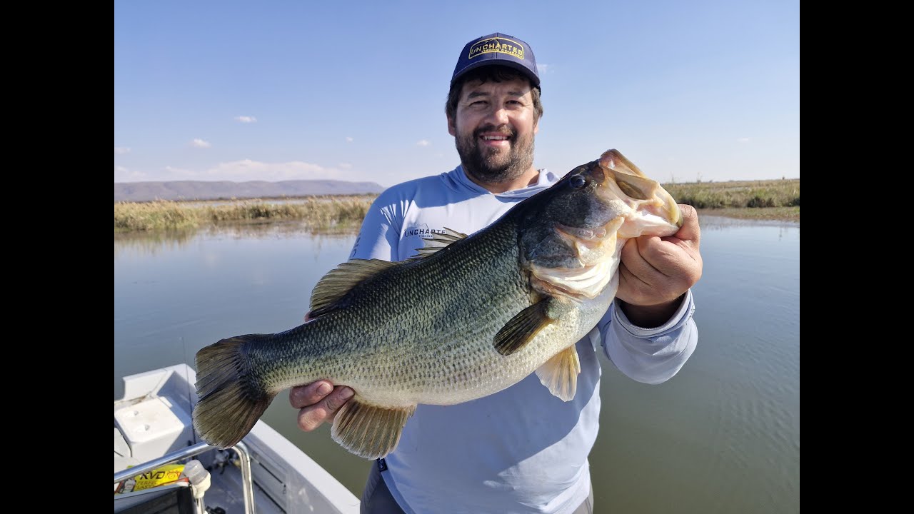 Punching Saves the Day at Rhenosterkop Dam