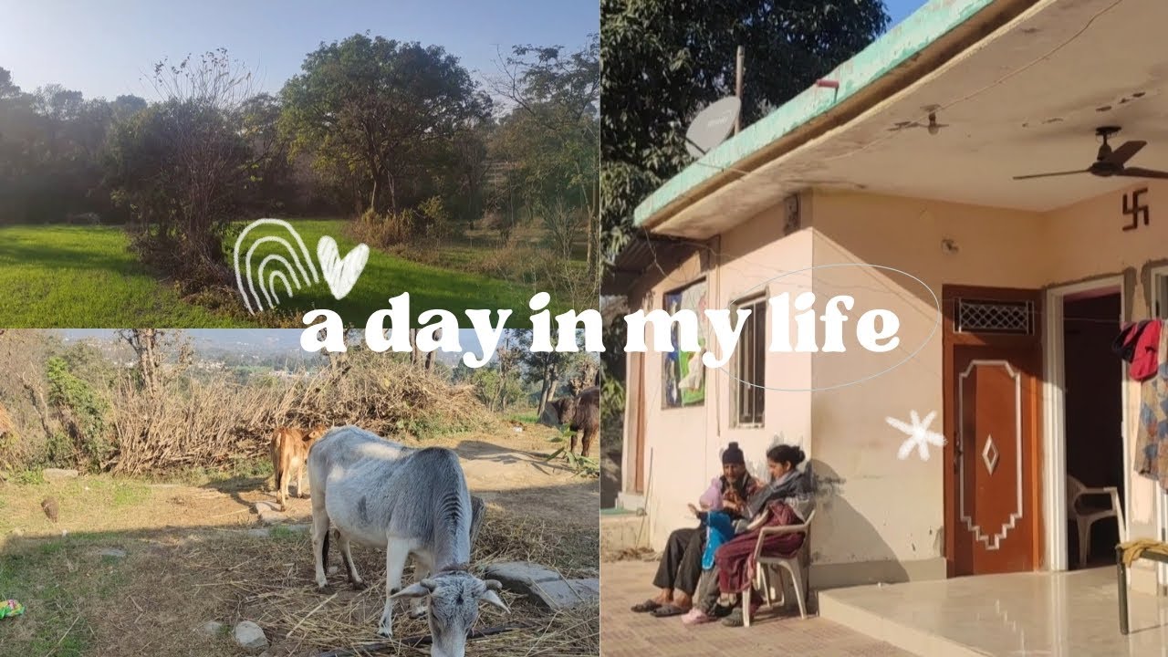 Gaoo ki life💗 || Dadi ka ghr🌷 || Priyanka Sharma Vlogs
