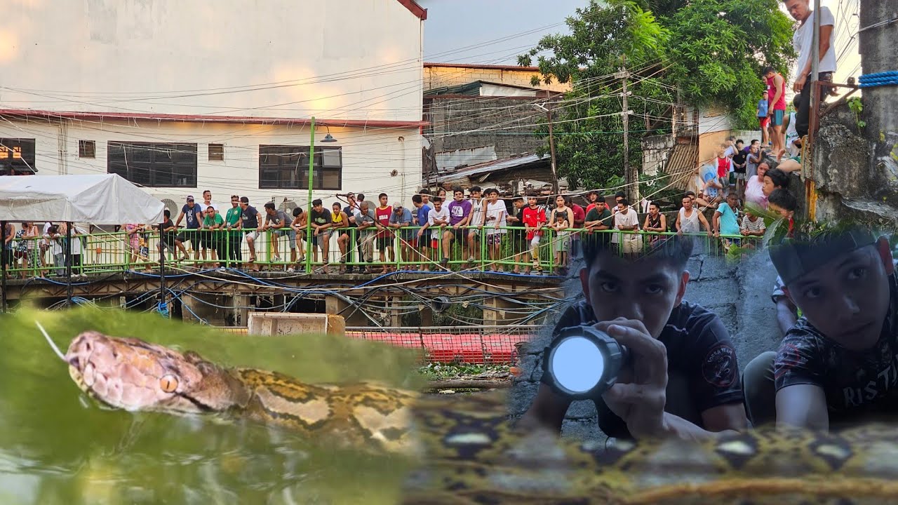 MALA POSTE NA SAWA KAYA NA KUMAIN NG TAO SA TAGUIG CITY