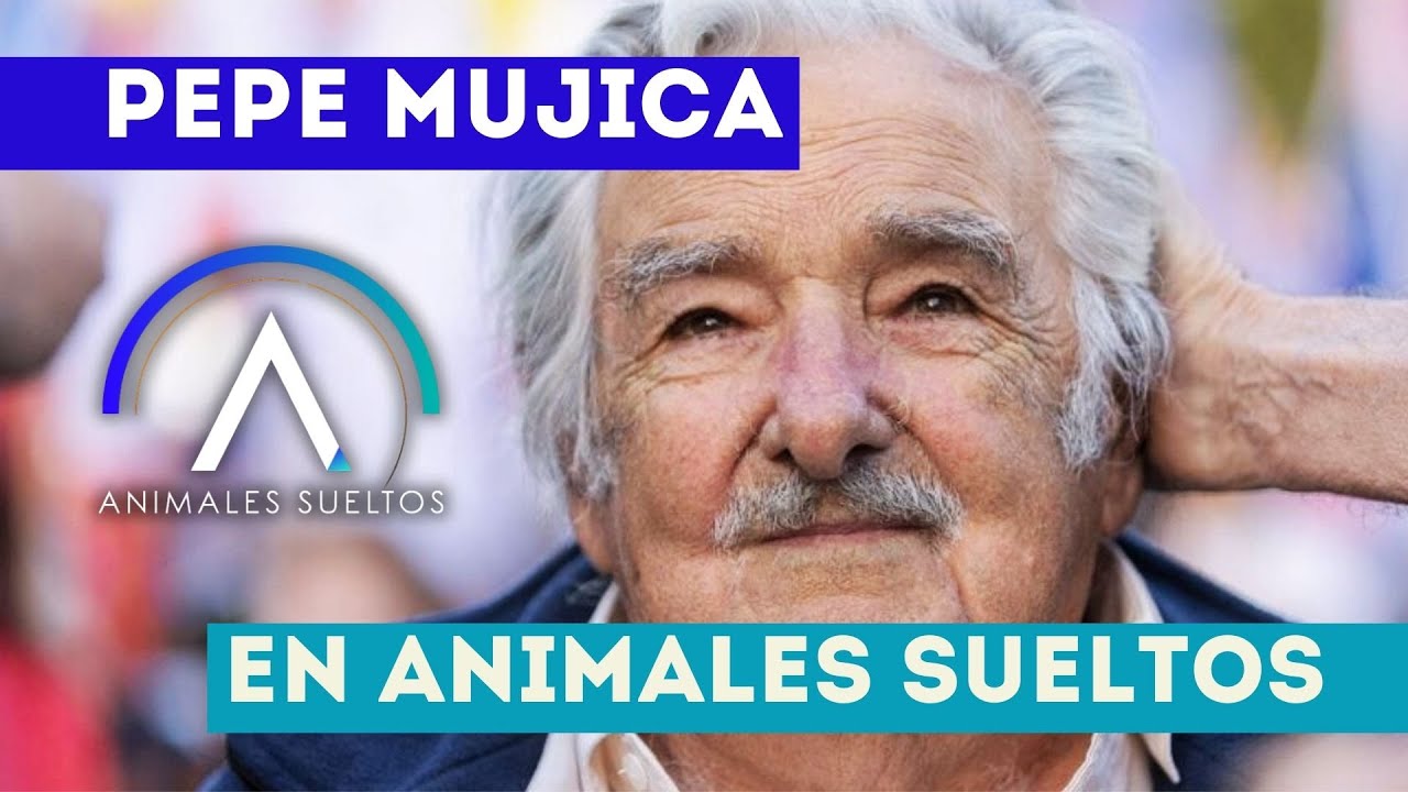 PEPE MUJICA en #AnimalesSueltos: 