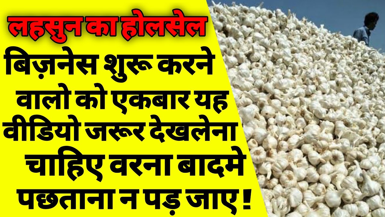 लहसुन का होलसेल बिज़नेस कैसे करें | How to start garlic wholesale business | garlic ka business | ASK