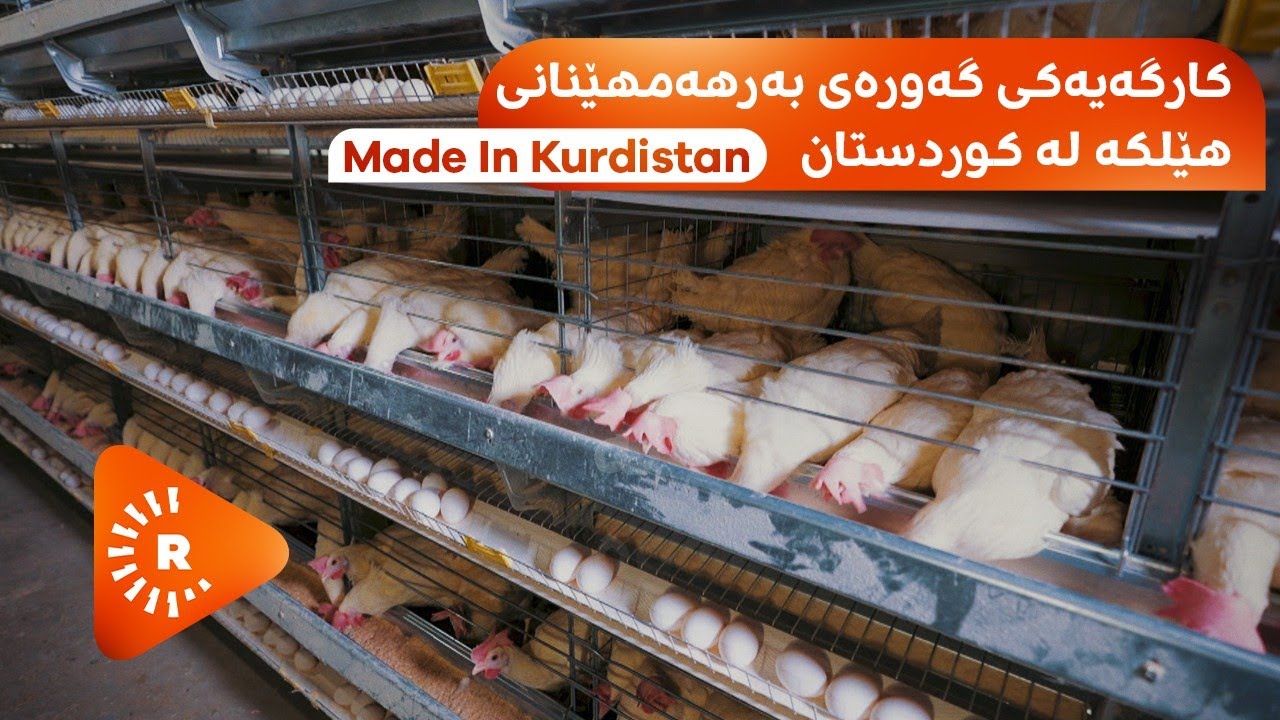 Made In Kurdistan- مەید ئین کوردستان - بەرهەمهێنانی هێلکە لە کوردستان