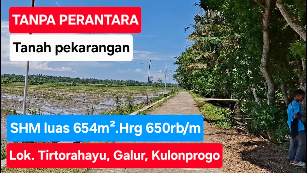TANPA PERANTARA tanah pekarangan view sawah SHM luas 654m².Hrg 650rb/m. Lok Galur, Kulonprogo
