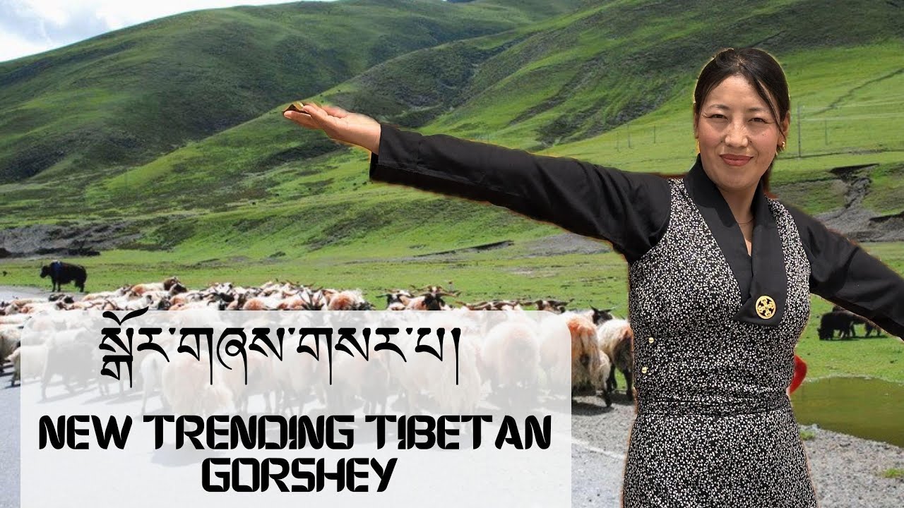 ༼བྱ་ལམ་གོང་མ།༽New Tibetan trending Gorshey