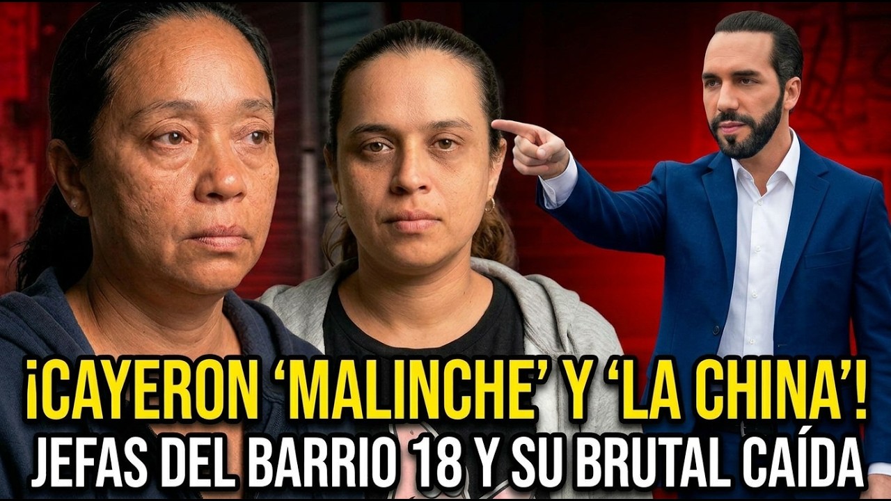 ASÍ CAYERON: EL FIN DE LAS PANDILLERAS MÁS TEMIDAS DEL BARRIO 18