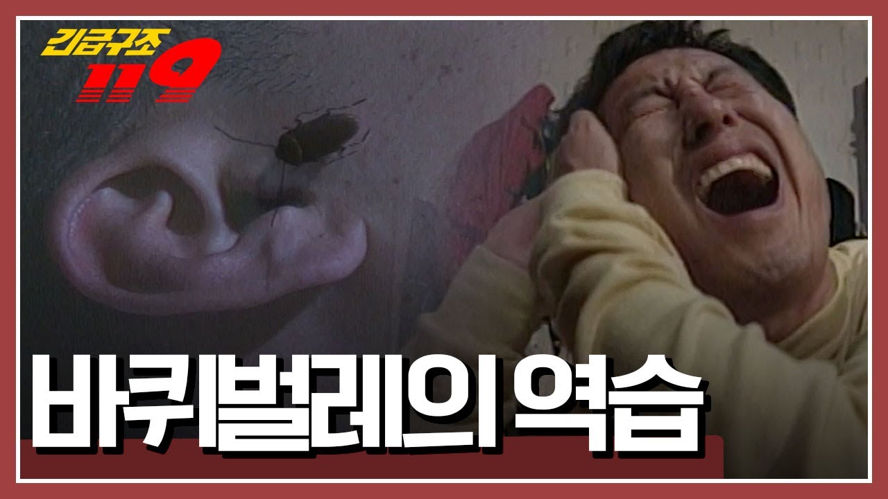 바퀴벌레를 잡기 위해 온갖 방법을 다 써본 가족! 그날 밤 바퀴벌레의 역습이 시작되는데... [긴급구조 119] 990425 방송