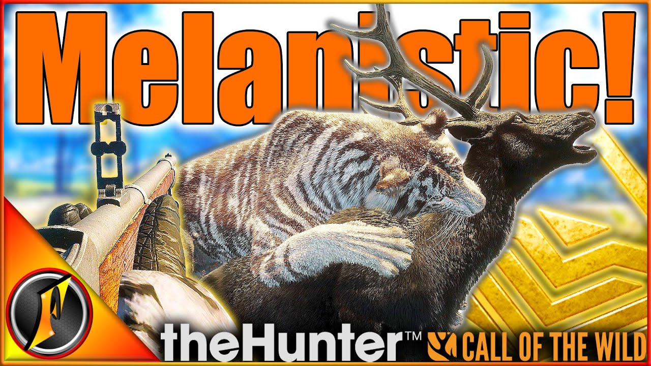РЕДКИЙ БАРАСИНГА МЕЧТЫ для этого ЭПИЧЕСКОГО мультимаунта! | theHunter Call of the Wild